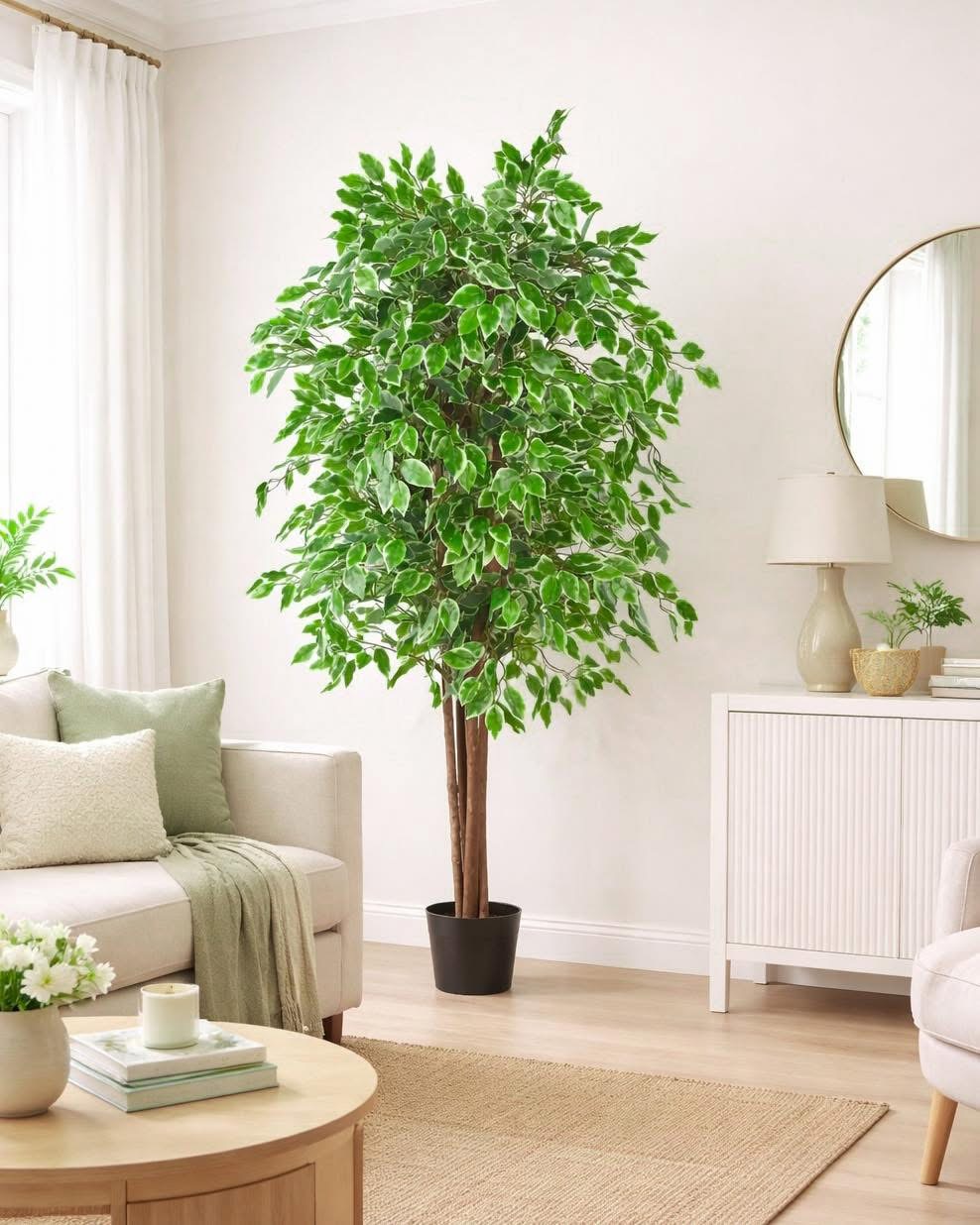 160x50 • Plastic plant pot • Leather leaves