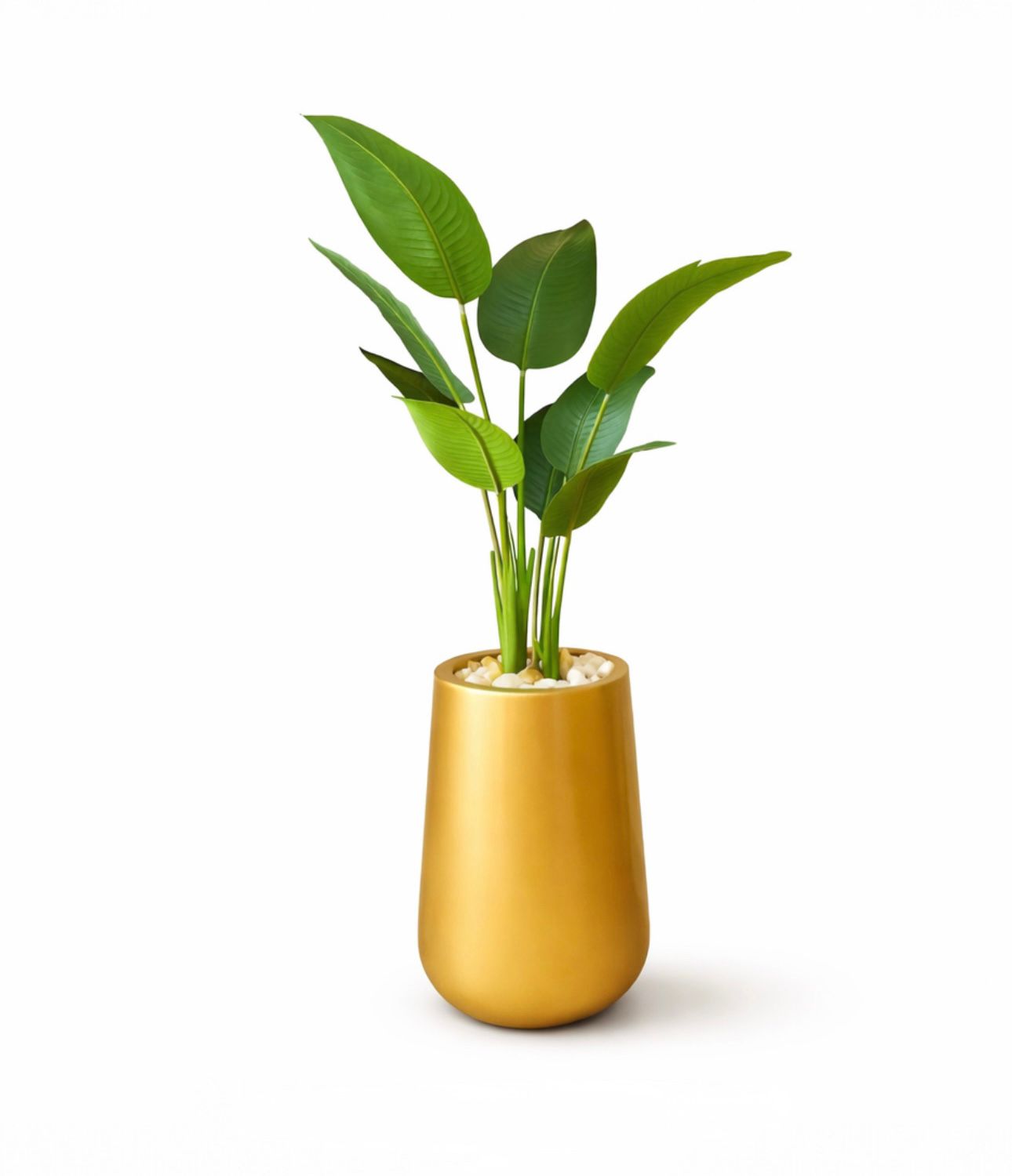 150x55 • Fiberglass • Leather leaves