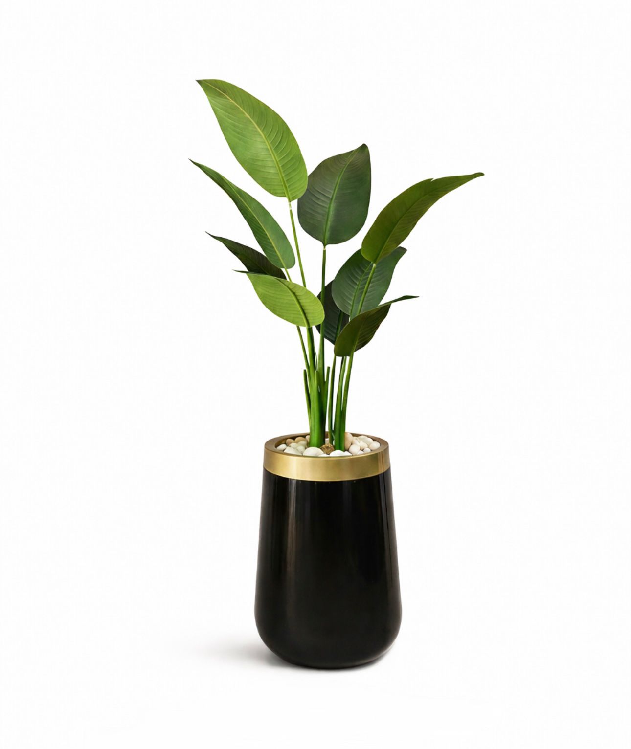 150x55 • Fiberglass • Leather leaves