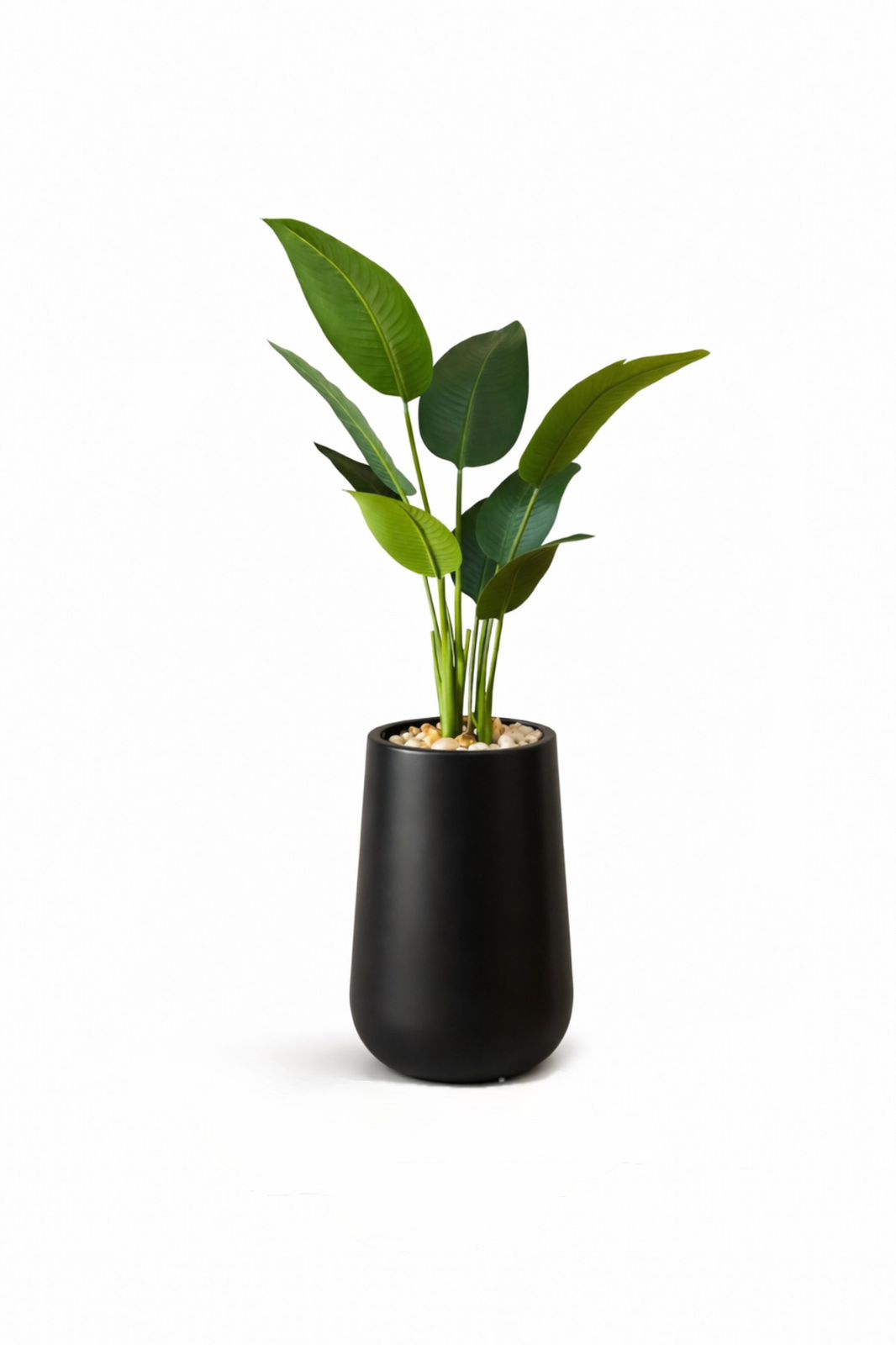 150x55 • Fiberglass • Leather leaves