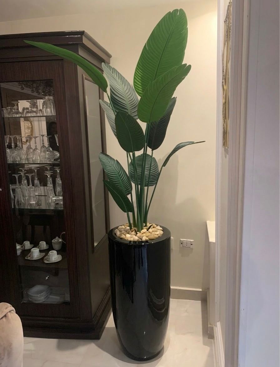 190x50 - fiberglass plant pot - Banana tree