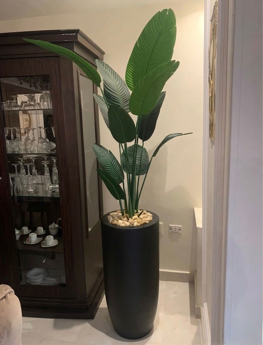 190x50 - fiberglass plant pot - Banana tree