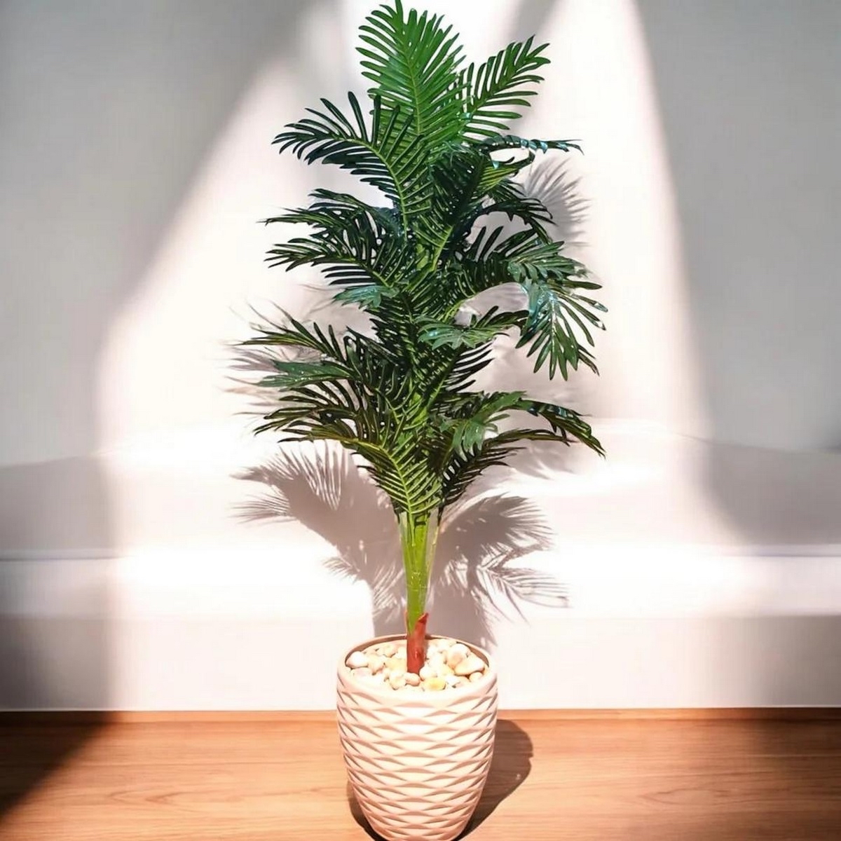 120x35 - Plastic plant pot - Palm tree