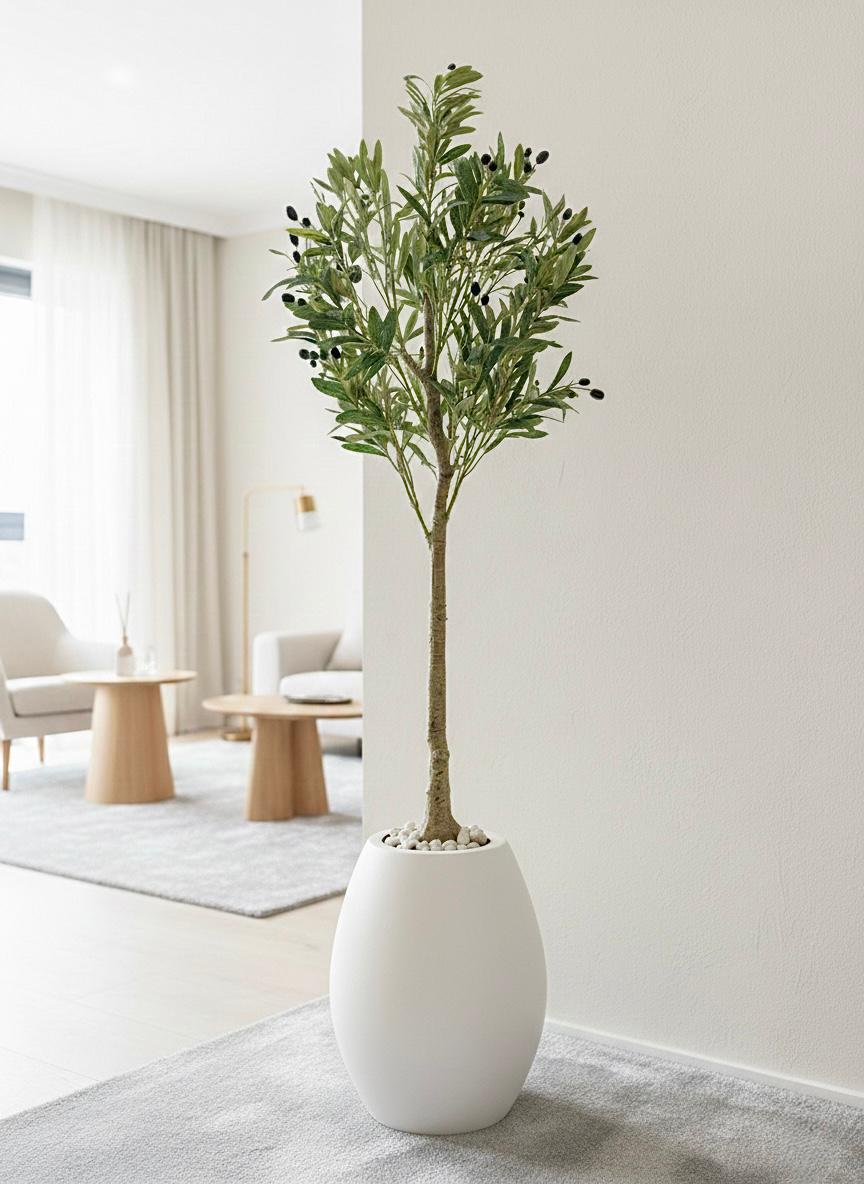 195 x 55cm - Fiberglass plant pot - Olive tree